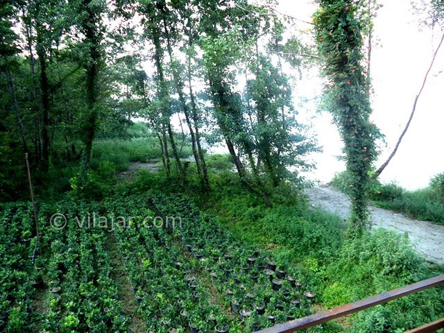 عکس شماره 22125 - ویلا با ساحل اختصاصی رامسر - 