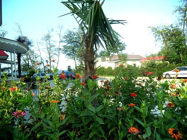 عکس شماره 22127 - ویلا با ساحل اختصاصی رامسر - 