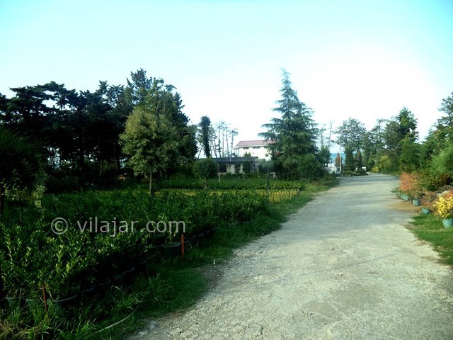 عکس شماره 22133 - ویلا با ساحل اختصاصی رامسر - 