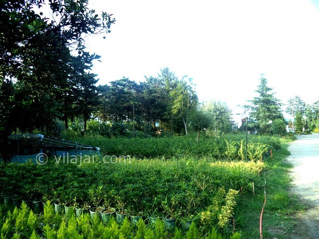 عکس شماره 22137 - ویلا با ساحل اختصاصی رامسر - 