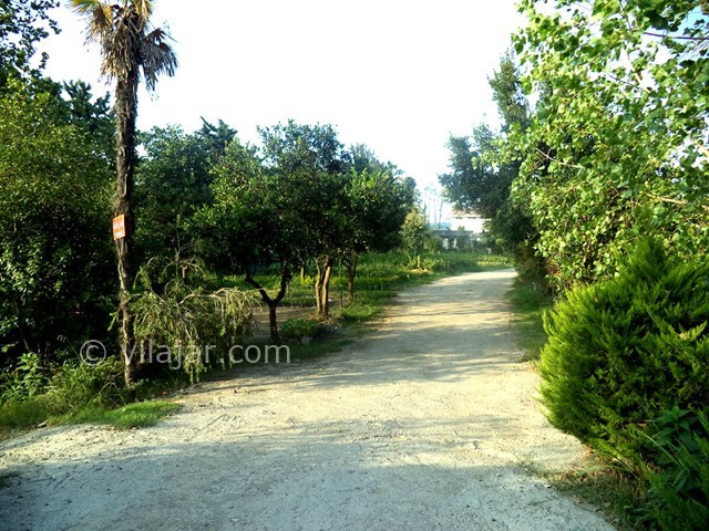 عکس شماره 22179 - اجاره ویلا رامسر ساحل خصوصی - 