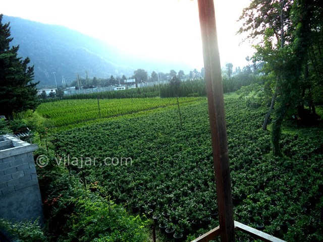 عکس شماره 22207 - اجاره ویلا رامسر ساحل خصوصی - 