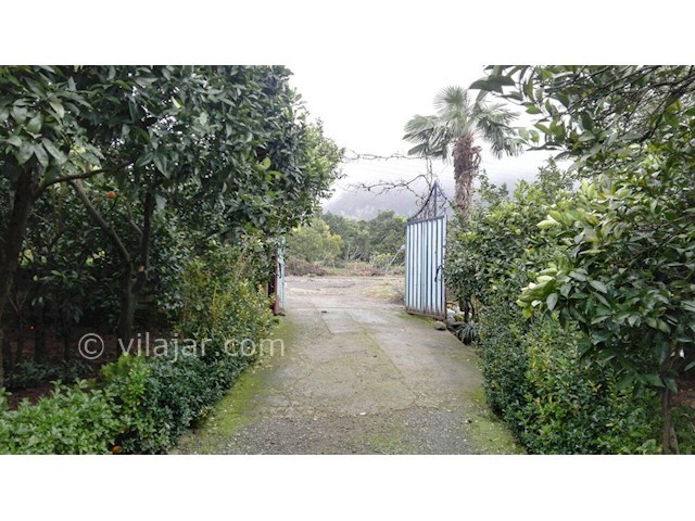 عکس شماره 223955 - رزرو ویلا در قاسم آباد گیلان - 