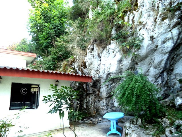 عکس شماره 22593 - ویلا استخردار جنگلی در رامسر - 