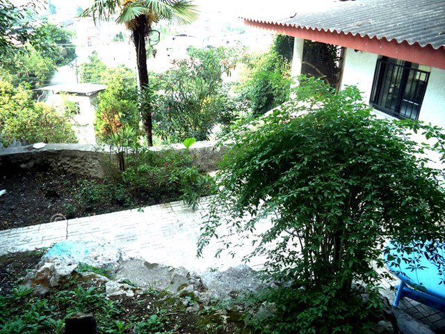 عکس شماره 22601 - ویلا استخردار جنگلی در رامسر - 