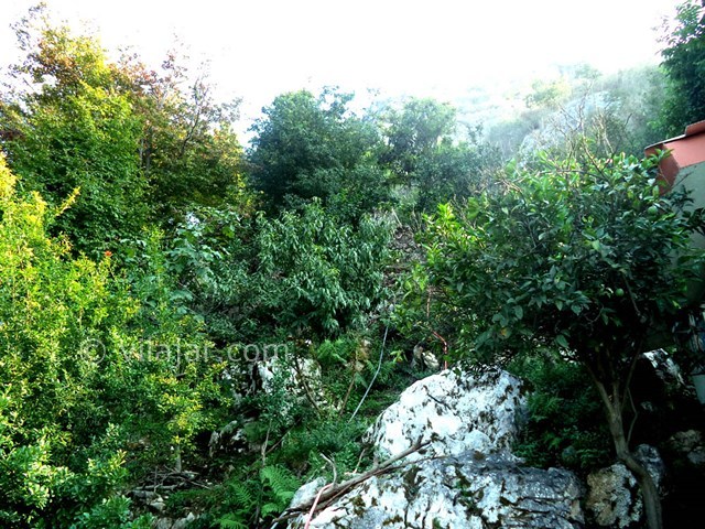 عکس شماره 22609 - ویلا استخردار جنگلی در رامسر - 