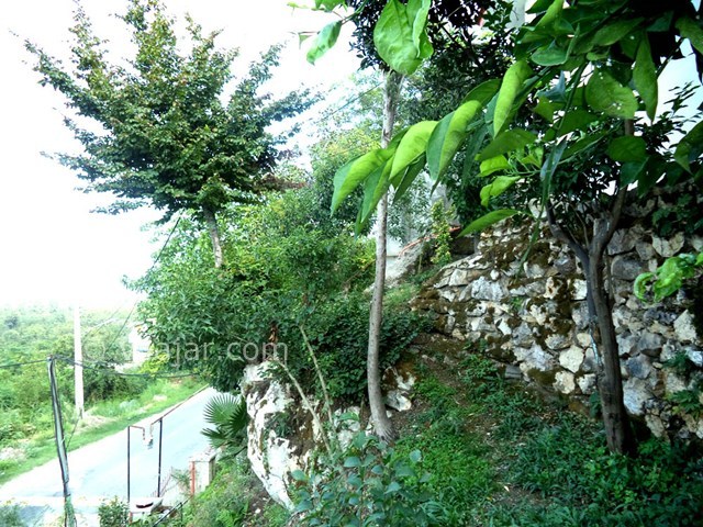 عکس شماره 22613 - ویلا استخردار جنگلی در رامسر - 