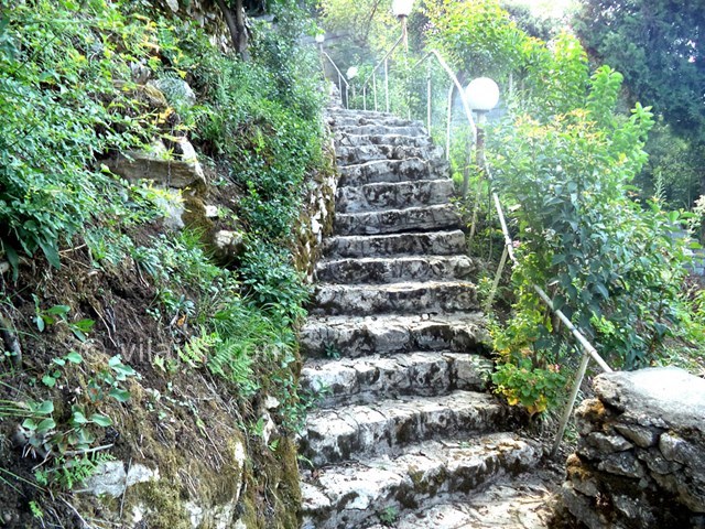 عکس شماره 22615 - ویلا استخردار جنگلی در رامسر - 