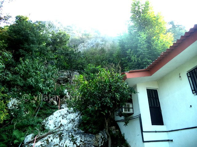 عکس شماره 22617 - ویلا استخردار جنگلی در رامسر - 