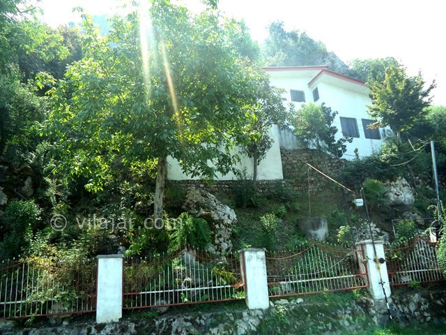 عکس شماره 22619 - ویلا استخردار جنگلی در رامسر - 