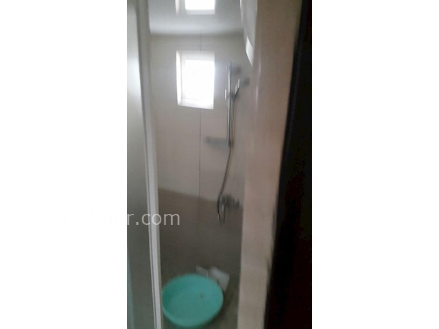 عکس شماره 226195 - اجاره ویلا در زیباکنار - 