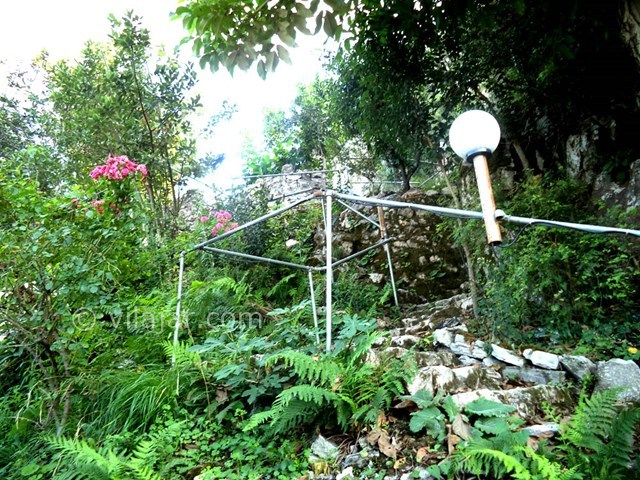 عکس شماره 22621 - ویلا استخردار جنگلی در رامسر - 