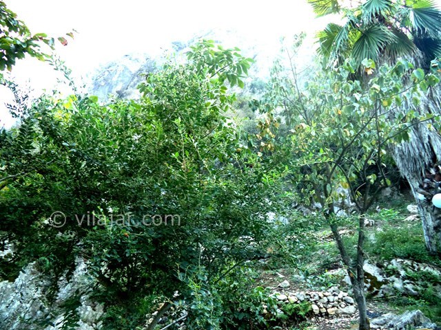 عکس شماره 22623 - ویلا استخردار جنگلی در رامسر - 