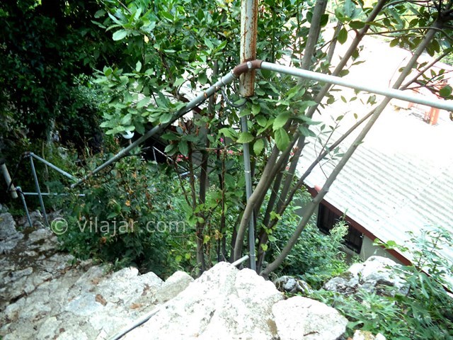 عکس شماره 22627 - ویلا استخردار جنگلی در رامسر - 