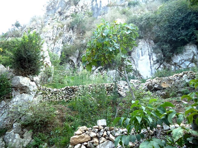 عکس شماره 22631 - ویلا استخردار جنگلی در رامسر - 