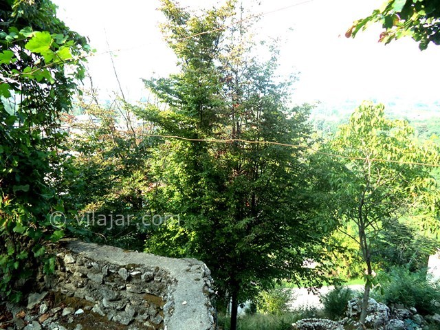 عکس شماره 22639 - ویلا استخردار جنگلی در رامسر - 