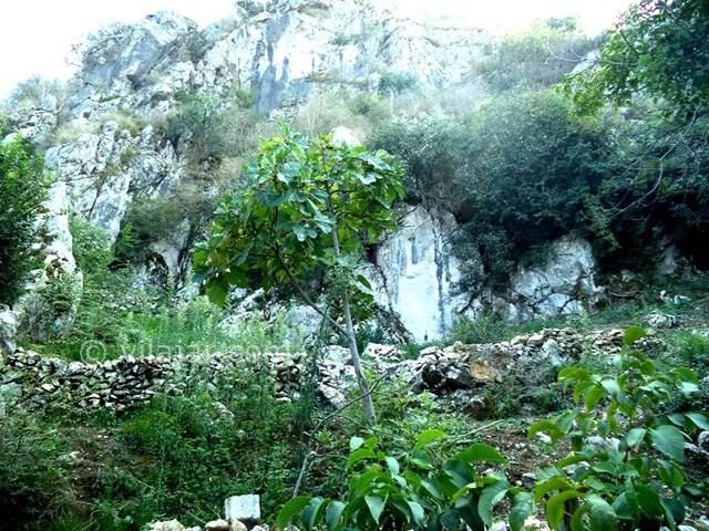 عکس شماره 22641 - ویلا استخردار جنگلی در رامسر - 