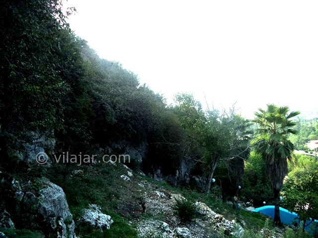 عکس شماره 22653 - ویلا استخردار جنگلی در رامسر - 