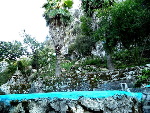 عکس شماره 22663 - ویلا استخردار جنگلی در رامسر - 