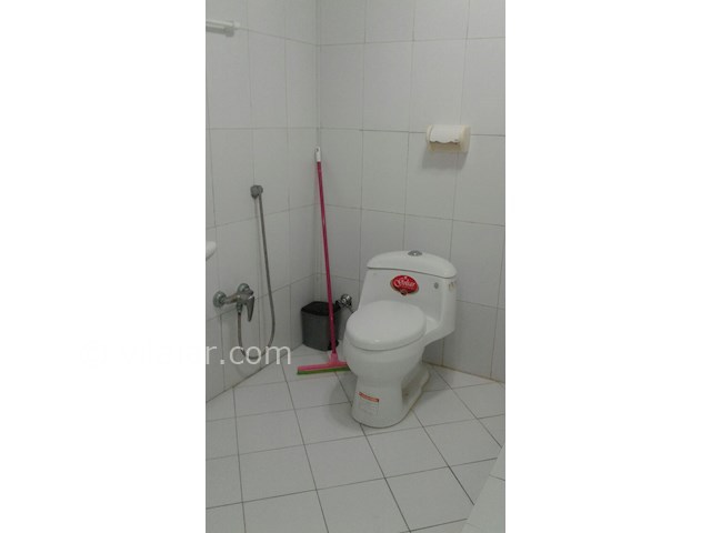 عکس شماره 228687 - ویلا اجاره ای در رامسر - 