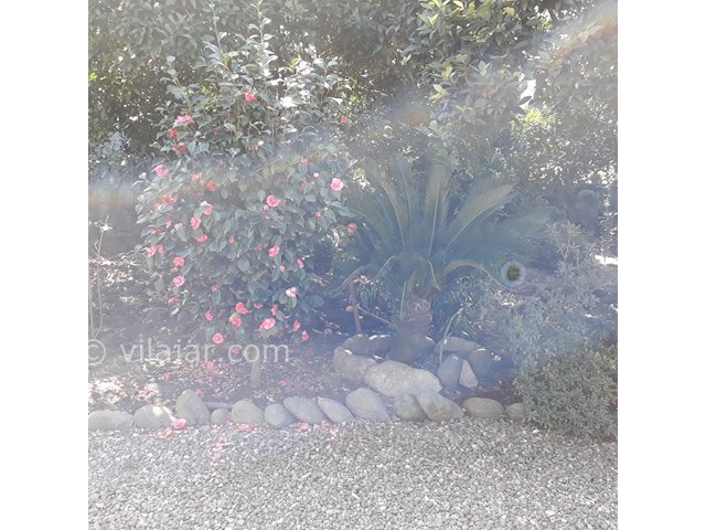 عکس شماره 232607 - رزرو ویلا در قاسم آباد گیلان - 