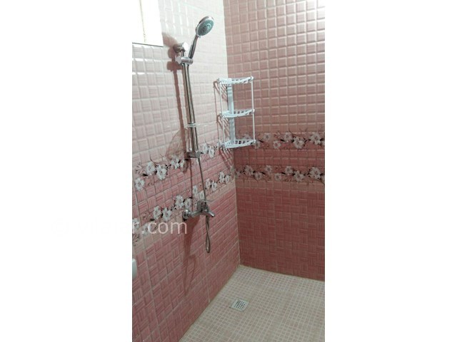 عکس شماره 235645 - اجاره ویلا در زیباکنار گیلان - 