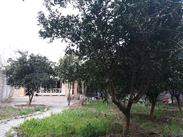 عکس شماره 236485 - اجاره خانه روستایی در بابل -