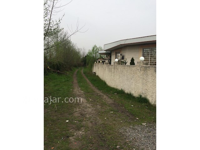 عکس شماره 236913 - اجاره ویلا جنگلی در تنکابن - 