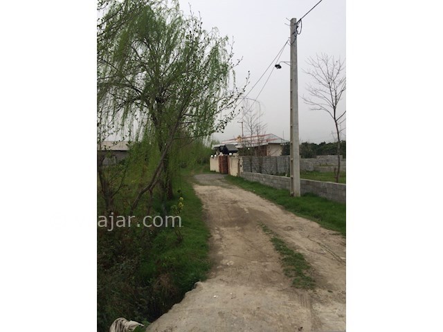 عکس شماره 236917 - اجاره ویلا جنگلی در تنکابن - 