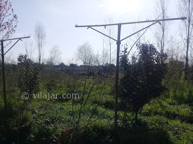 عکس شماره 238055 - اجاره ویلا نزدیک شیرود - 