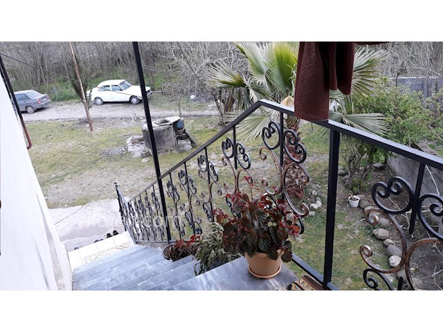 عکس شماره 239407 - رزرو ویلای روستایی در تالش - 