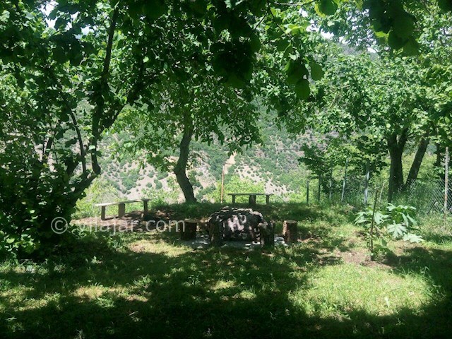 عکس شماره 241395 - ویلا در ارتفاعات جنگل دالخانی - 