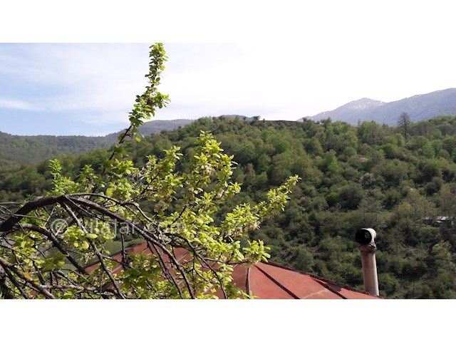 عکس شماره 241805 - اجاره خانه روستایی در سنگچال آمل - 