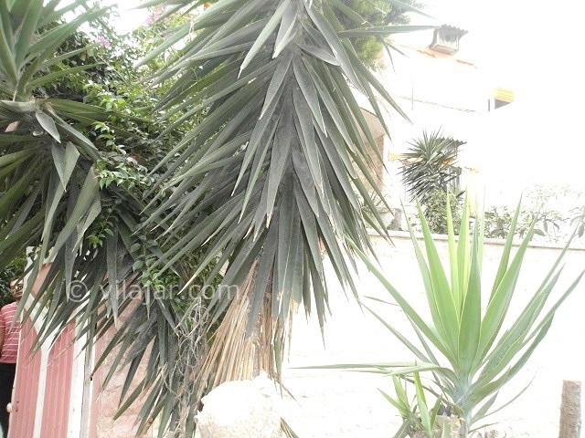 عکس شماره 24265 - اجاره ویلا شمال ساحل اختصاصی - 