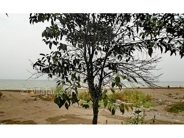 عکس شماره 24275 - اجاره ویلا شمال ساحل اختصاصی - 