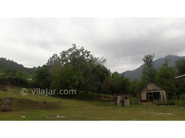 عکس شماره 244437 - اجاره ویلا دوبلکس در ماسال - 