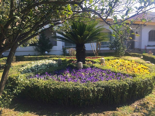 عکس شماره 244709 - ویلا اجاره ای در ایزدشهر - 