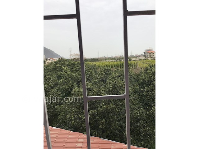 عکس شماره 245013 - اجاره ویلا با استخر سونا و بیلیارد - 