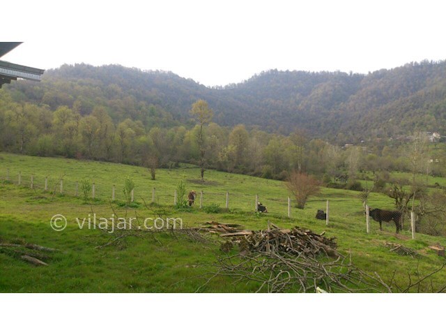 عکس شماره 246515 - اجاره ویلا در ماسال - 