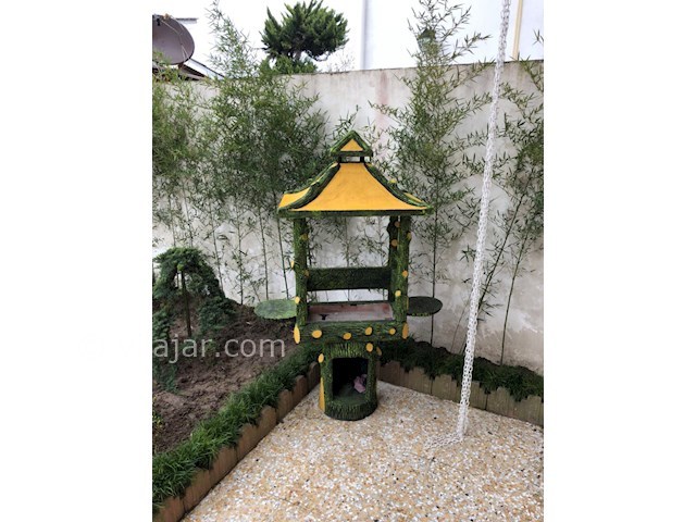 عکس شماره 247477 - اجاره ویلا استخردار در متل قو - 