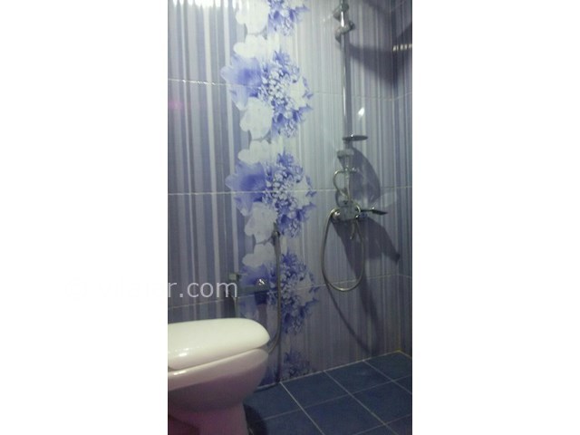 عکس شماره 250197 - اجاره ویلا در شیرود - 