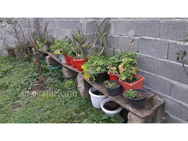 عکس شماره 250563 - ویلا در ماسال وشمه سرا - 