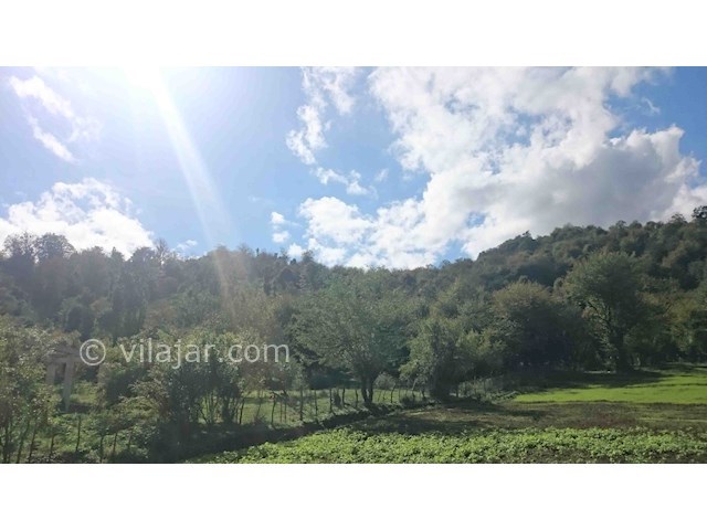 عکس شماره 25091 - اجاره سوئیت در طبیعت ماسال - 