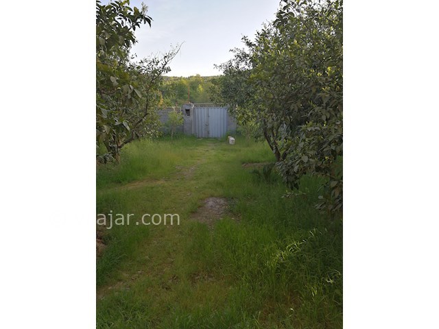 عکس شماره 251907 - رزرو خانه ویلایی در قائم شهر - 