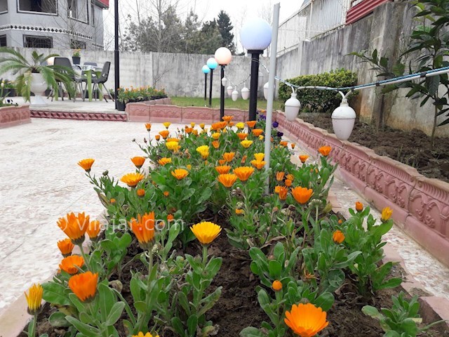 عکس شماره 252391 - رزرو ویلا در چمخاله - 