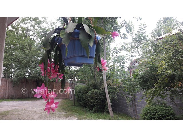 عکس شماره 252617 - خانه روستایی در ماسال - 