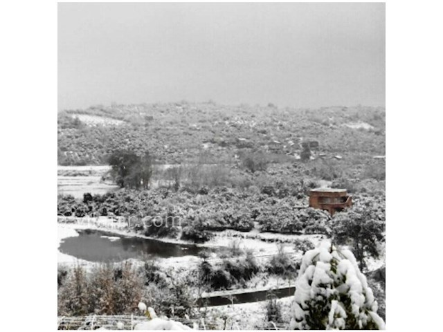 عکس شماره 252629 - رزرو خانه ویلایی در قائم شهر - 