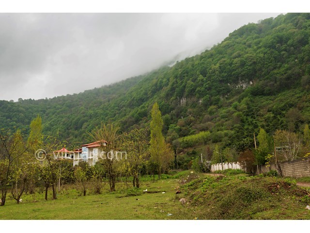 عکس شماره 252881 - اجاره ویلای جنگلی رامسر استخردار - 