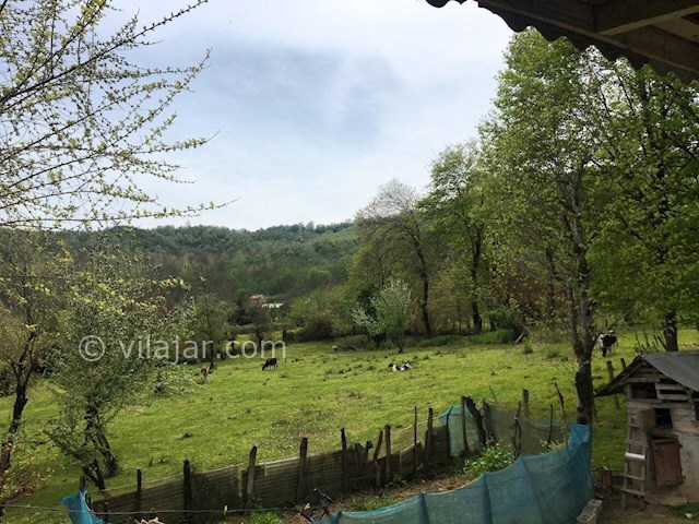 عکس شماره 253829 - اجاره ویلا در ماسال در جنگل - 