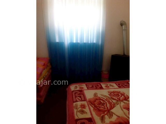 عکس شماره 253845 - اجاره ویلا در ماسال - 